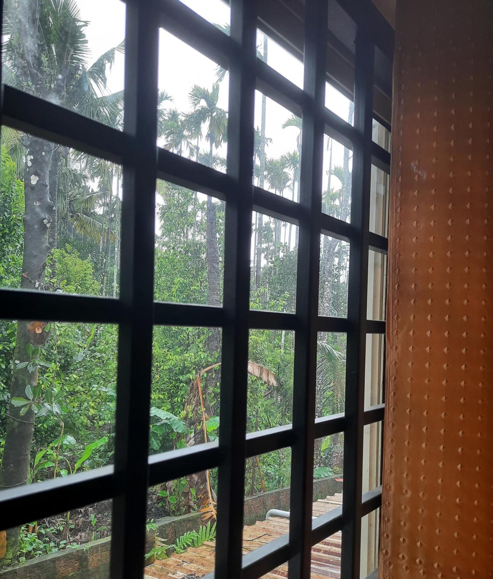 Nest Mdy Apartment Mananthavady Exterior foto